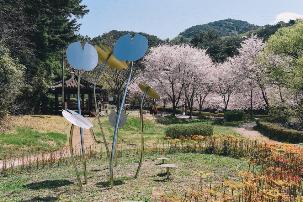 [울산 벚꽃 여행] 숨은 벚꽃길을 찾아라! 울산 벚꽃 명소 5 :: 무거천, 작천정, 선암 호수공원, 차리마을, 화동못수변공원, 울산 가볼 만한 곳