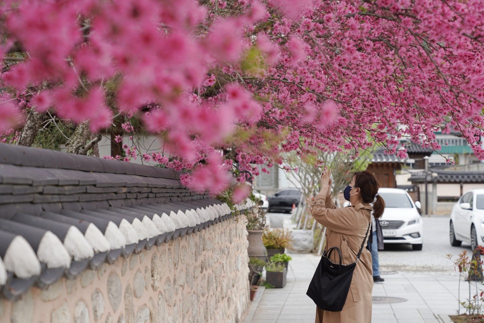 전주 드라마 촬영지 스물다섯 스물하나 나희도 집, 터널 여행