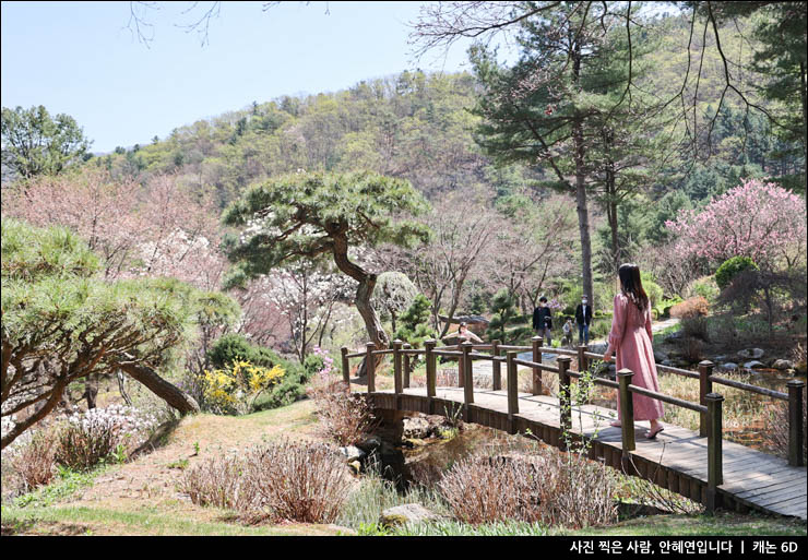 서울 근교 나들이 여행 가평 아침고요수목원 봄꽃축제 구경