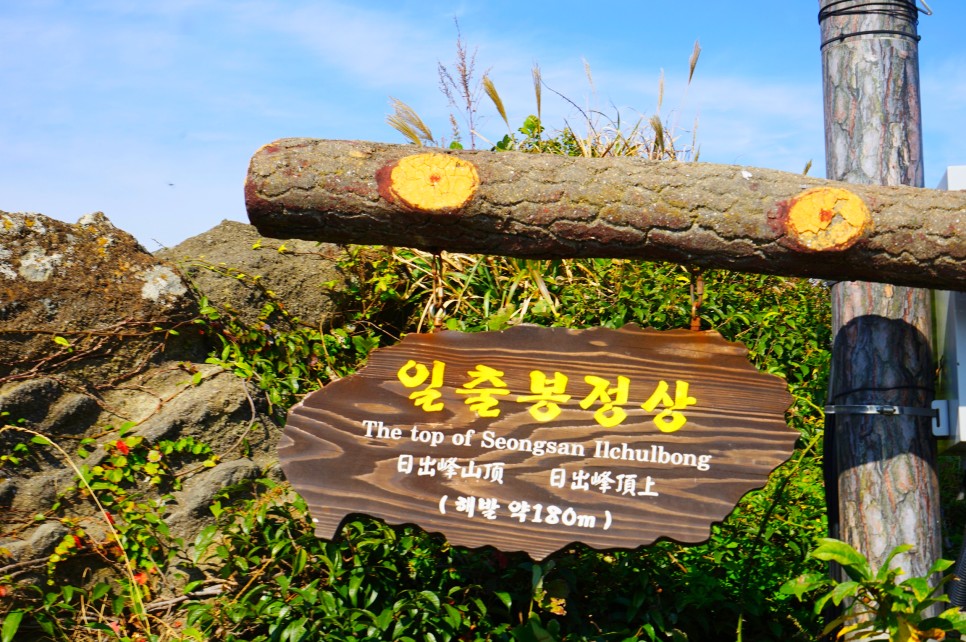 제주 동쪽 가볼만한곳 성산일출봉 광치기해변 명소 포함 5곳