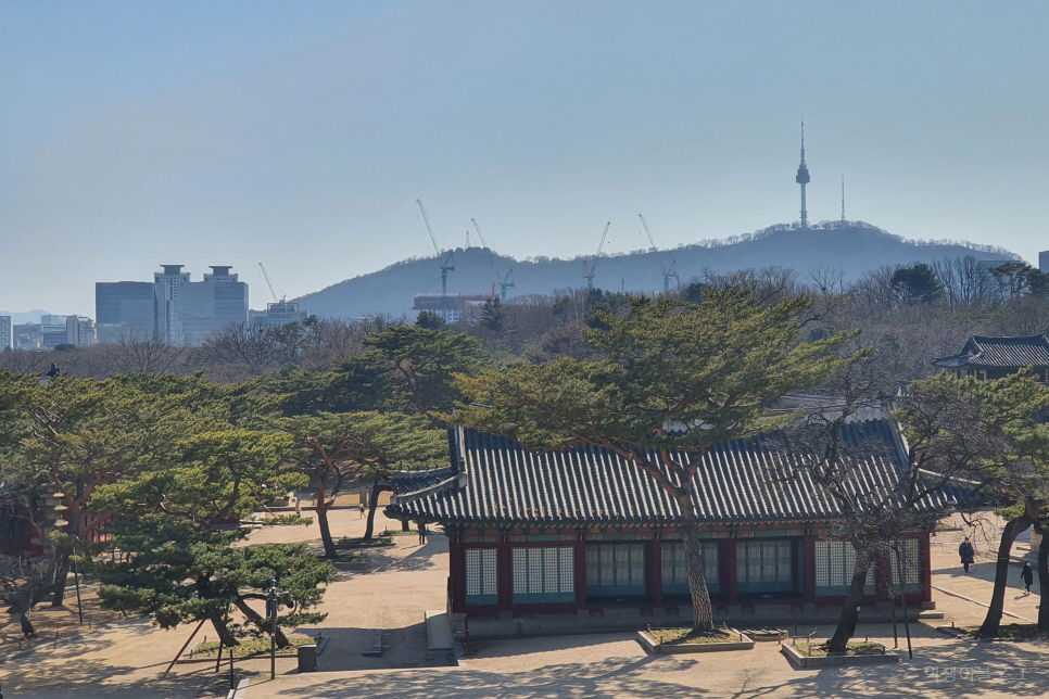 서울 주말 나들이 궁궐 창경궁 대온실 여행