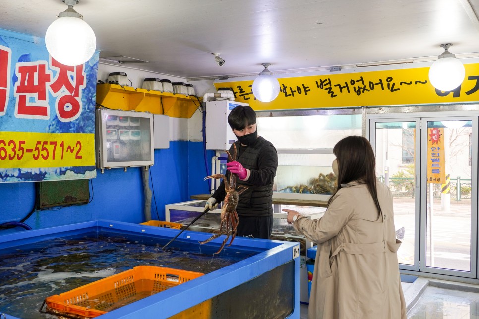 속초 가볼만한곳 설악산 케이블카 속초대관람차등  속초여행코스