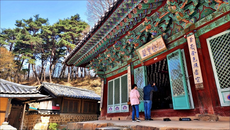 충남 서산 여행 겹벚꽃 명소 서산 문수사 핑크벚꽃!