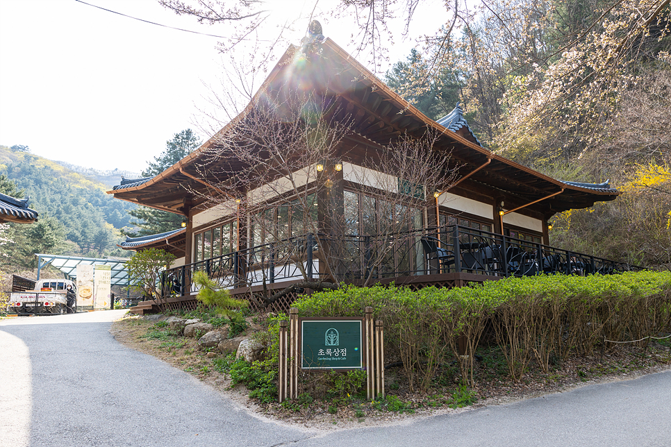 서울근교 데이트 경기도 가평 아침고요수목원 꽃구경 봄꽃축제