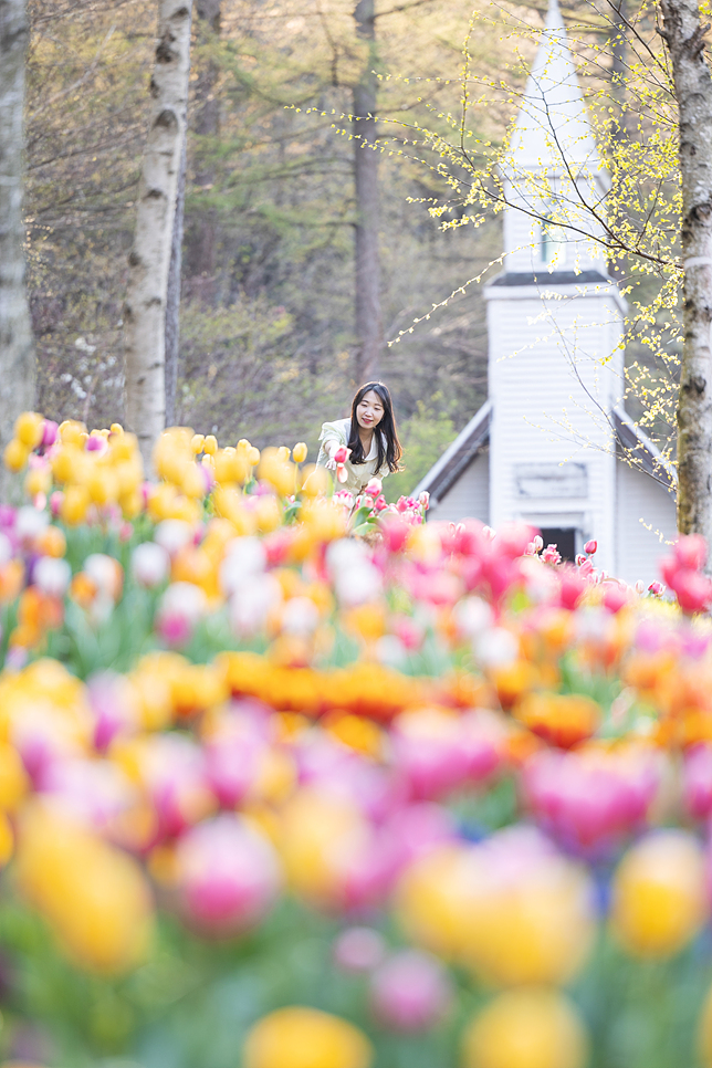 서울근교 데이트 경기도 가평 아침고요수목원 꽃구경 봄꽃축제