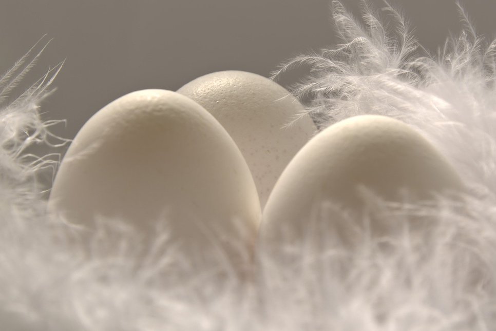2022년 부활절 이미지 계란 바구니 만든 비올씨!