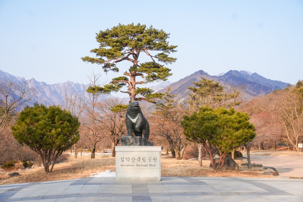 속초 가볼만한곳 설악산 케이블카 속초대관람차등  속초여행코스