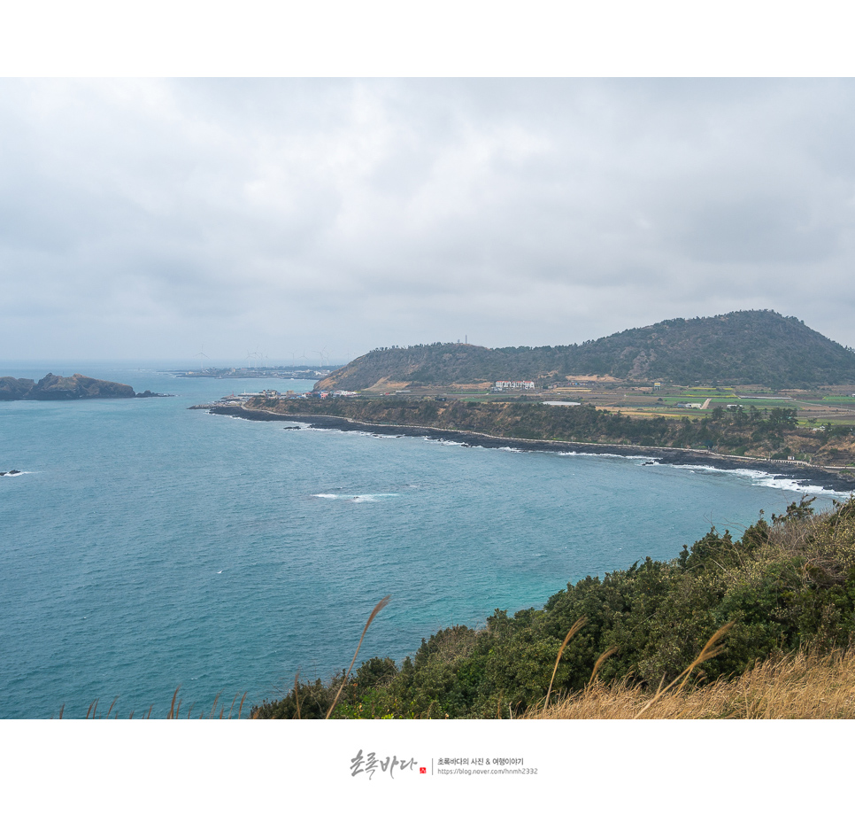 4월 제주도 여행 제주 서쪽 가볼만한곳 모음