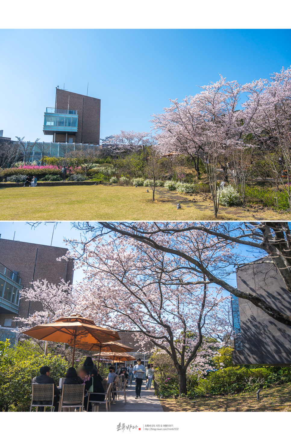 4월 제주도 여행 제주 서쪽 가볼만한곳 모음