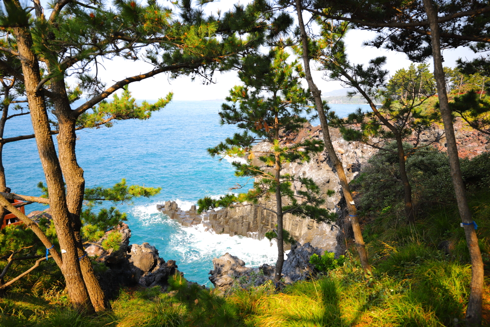 제주도 택시대절 봄에 떠나는 제주 관광택시