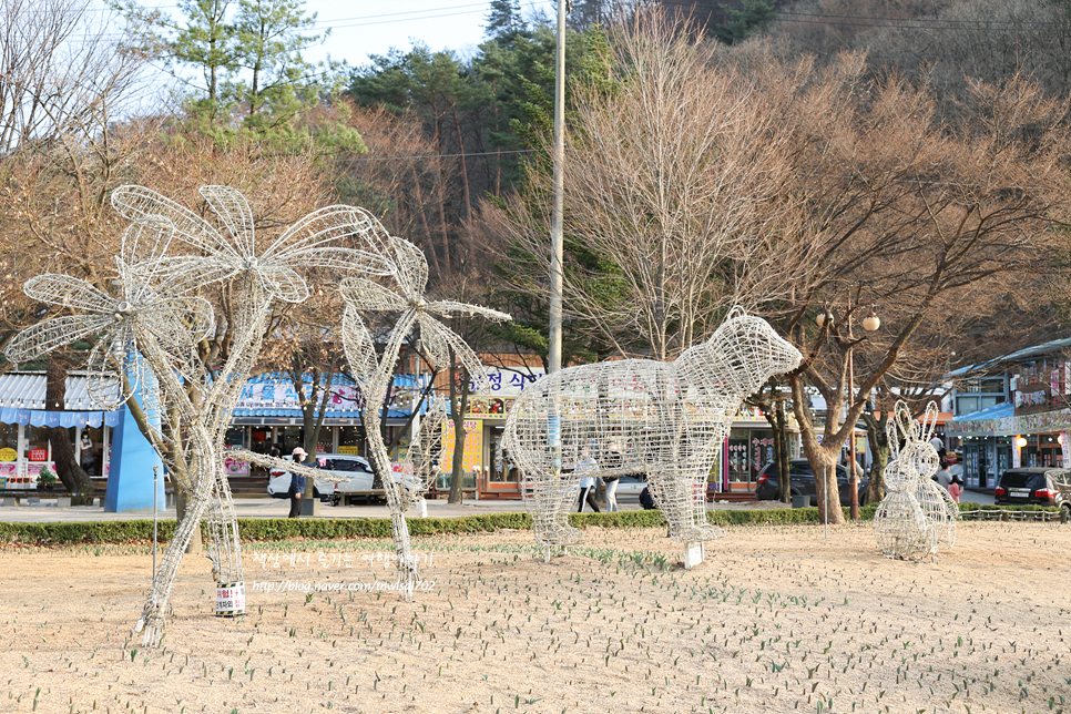 서울근교 갈만한곳 경기도 포천 산정호수 봄나들이 볼거리, 오리배