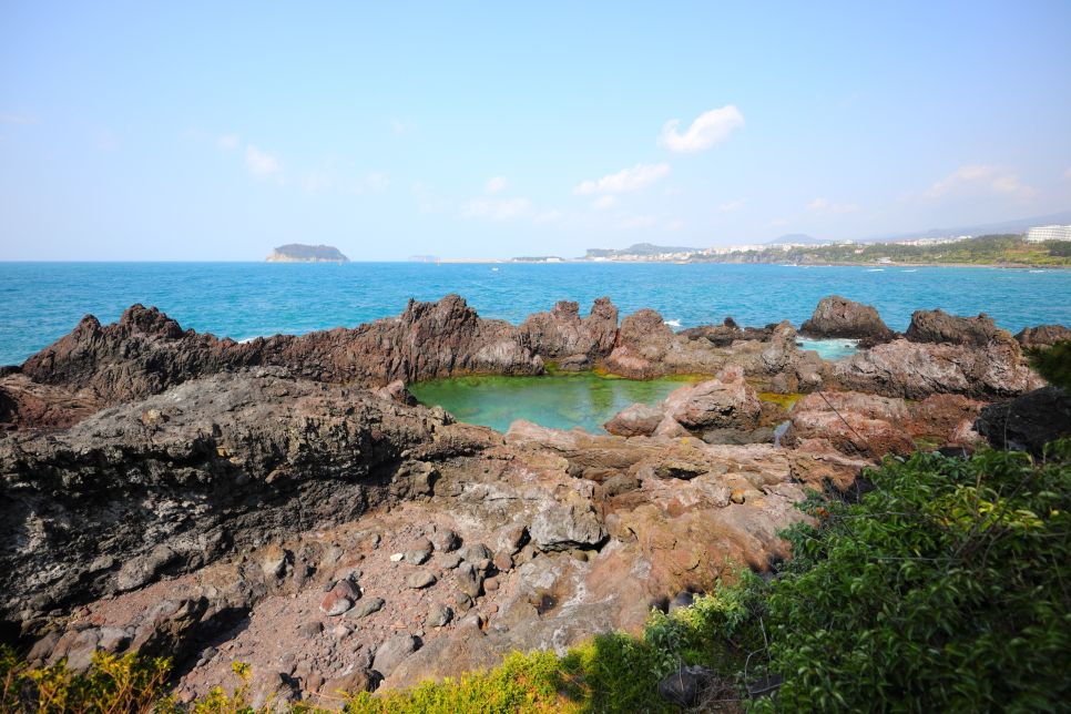 제주도 택시대절 봄에 떠나는 제주 관광택시