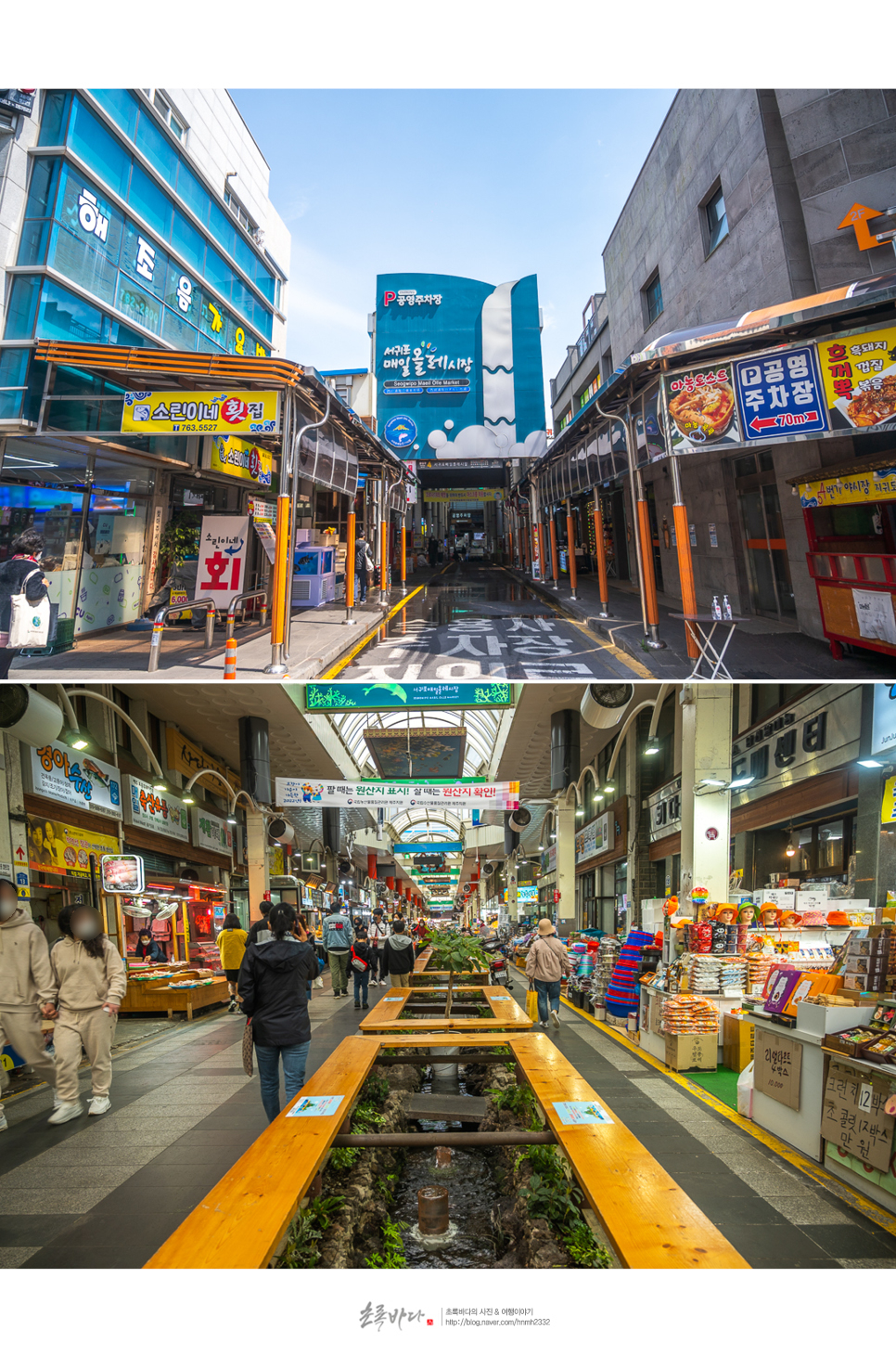 서귀포 여행 코스 추천 제주 서귀포 매일 올레시장 먹거리 이중섭거리