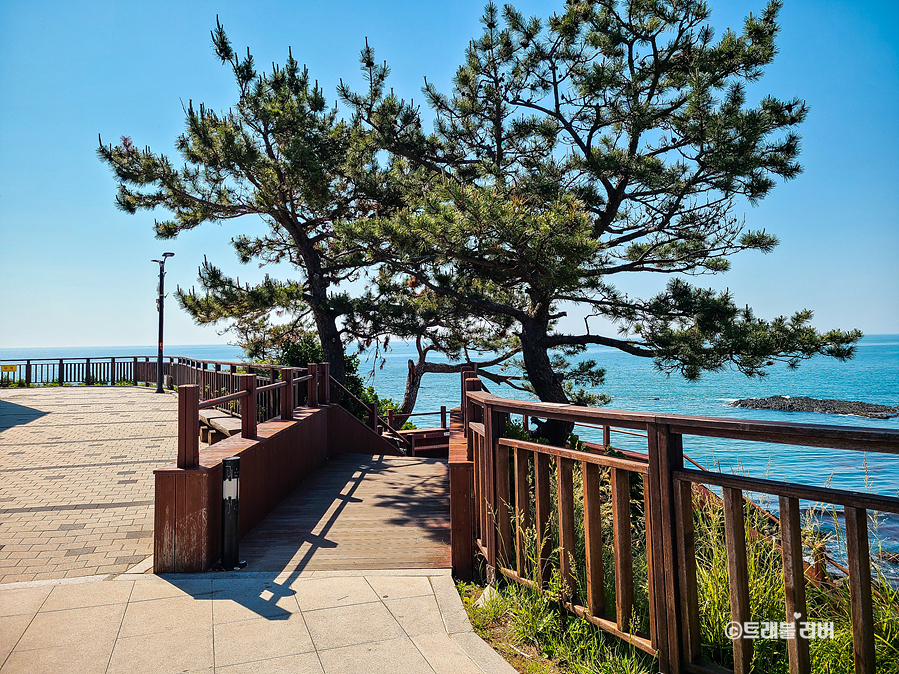 경주 여행코스 양남 주상전리전망대 바다 경주 문무대왕릉