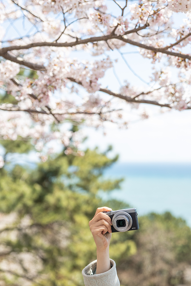 입문용 브이로그 카메라 캐논 G7XMark3 들고 4월 국내여행