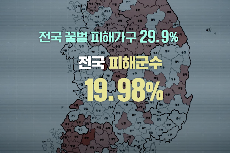 그것이알고싶다 꿀벌 실종 원인 1302회 다시보기