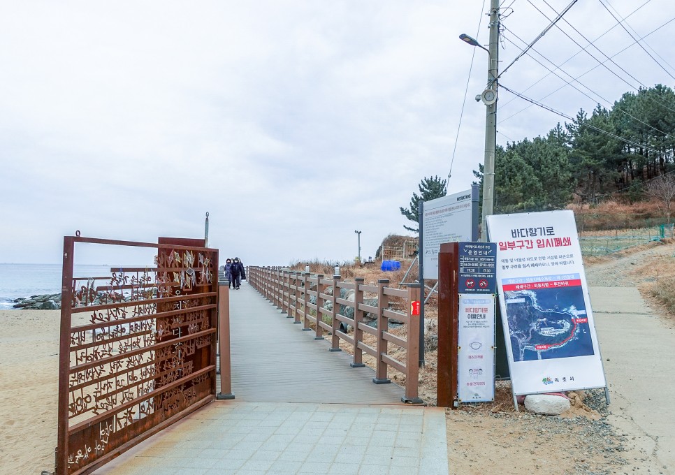 강원도 속초 여행코스  외옹치둘레길 속초수산시장 대포항 가볼만한 먹거리까지