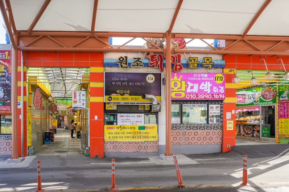 강원도 속초 여행코스  외옹치둘레길 속초수산시장 대포항 가볼만한 먹거리까지