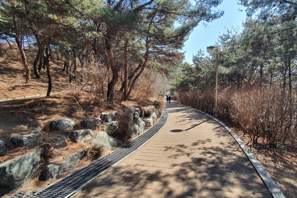 서울 여행지 추천 낙산공원 이화벽화마을 대학로 주변 관광지