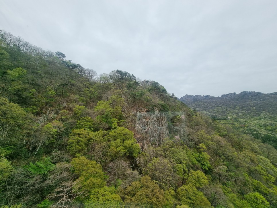 국내 힐링 여행 내장산 국립공원 케이블카 타고 룰루랄라