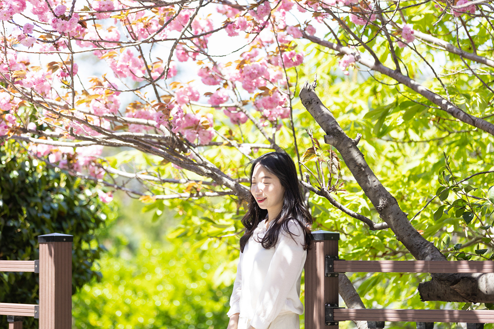 부산 민주공원 겹벚꽃 명소 부산 꽃구경 피크닉 봄나들이