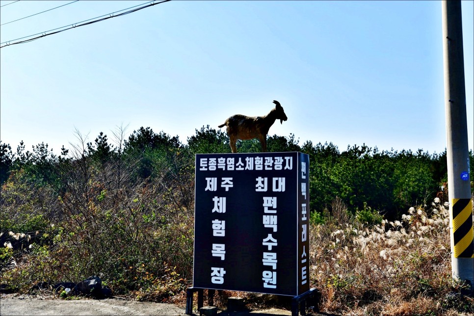 기억나는 4월 제주 서귀포 가볼만한곳!