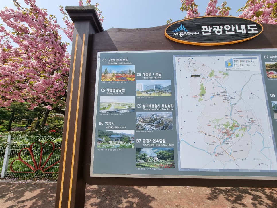 대전 근교 여행 세종 베어트리파크 철쭉 나들이