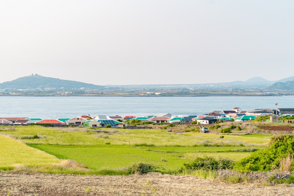 [제주도 가볼 만한 곳] 섬 안에 섬을 여행하는 방법, 가파도 여행 코스 :: 운진항, 김진현 핫도그, 가파도 청보리밭, 봄날에, 소망 전망대