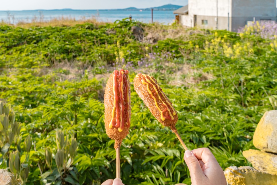 [제주도 가볼 만한 곳] 섬 안에 섬을 여행하는 방법, 가파도 여행 코스 :: 운진항, 김진현 핫도그, 가파도 청보리밭, 봄날에, 소망 전망대