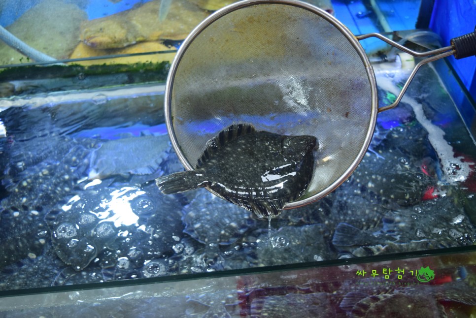 노량진 수산시장맛집 회배달 도다리 세꼬시 푸른바다
