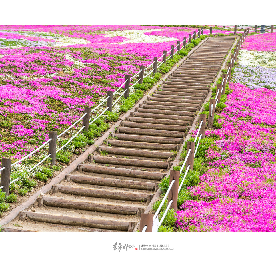 경남 데이트 코스 산청 생초국제조각공원 산청 꽃잔디 경남 꽃구경