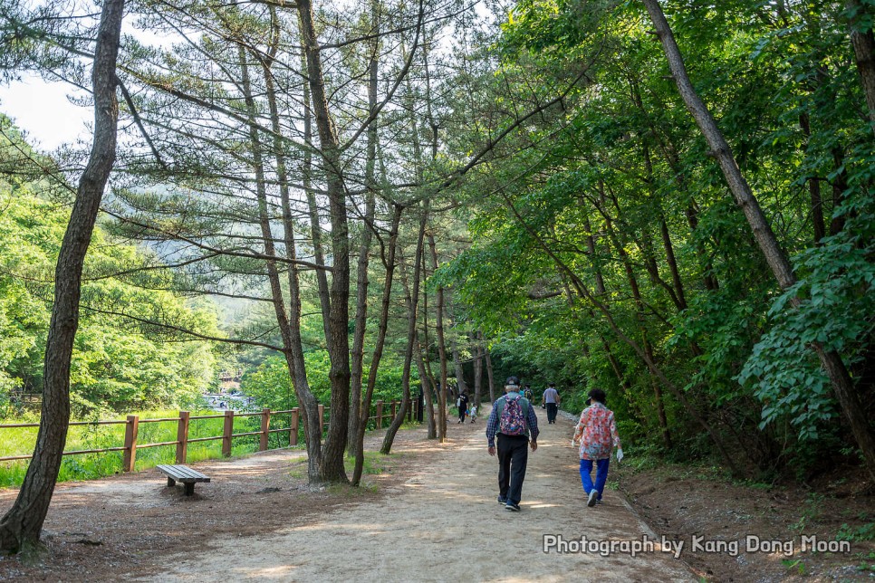 대전 나들이 명소 대전 아이와 가볼만한곳 계룡산 국립공원 수통골 계곡