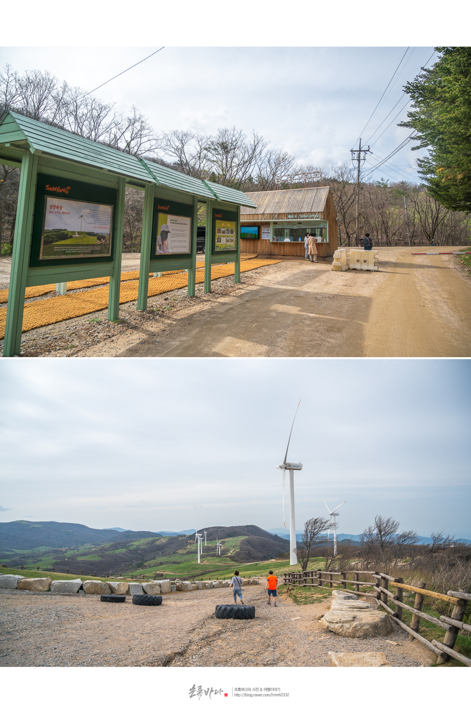 강원도 평창 가볼만한곳 대관령양떼목장부터 강원도 먹거리 등 4