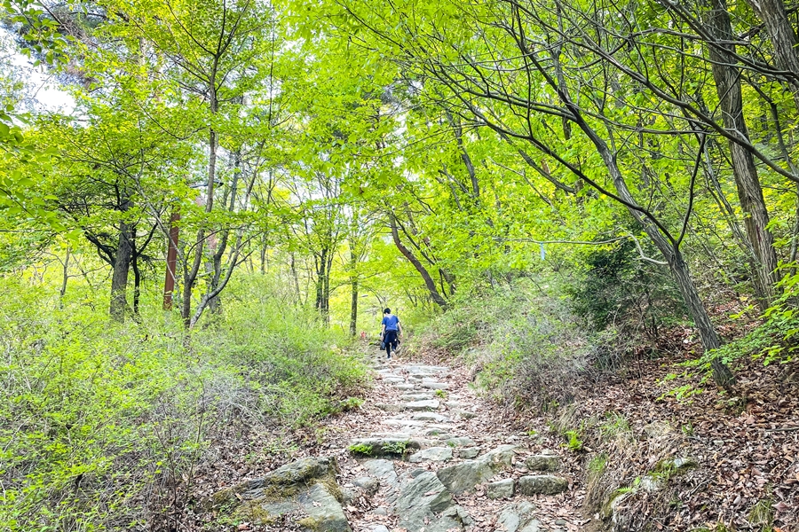 호암산 삼성산성지, 호암늘솔길, 아이폰12미니 촬영