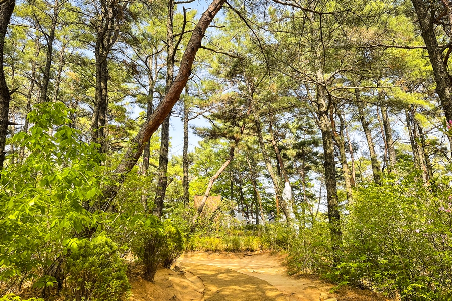 호암산 삼성산성지, 호암늘솔길, 아이폰12미니 촬영