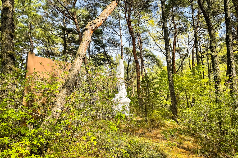 호암산 삼성산성지, 호암늘솔길, 아이폰12미니 촬영