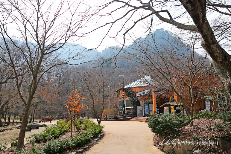 전북 정읍 가볼만한곳 내장사 내장산 케이블카 1박2일촬영지