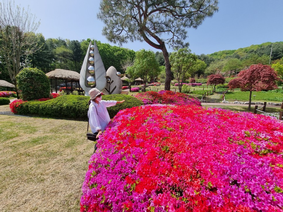 부처님오신날 경기도 갈만한곳 용인 와우정사 경기도 절!