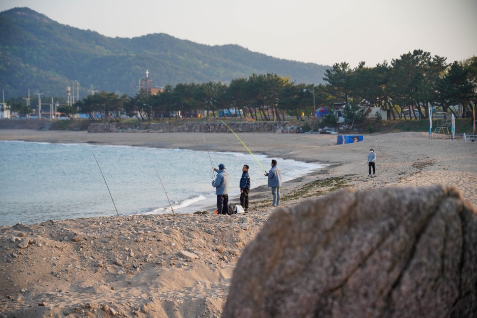 경북 영덕 가볼만한곳 먹거리 포함 영덕 여행코스