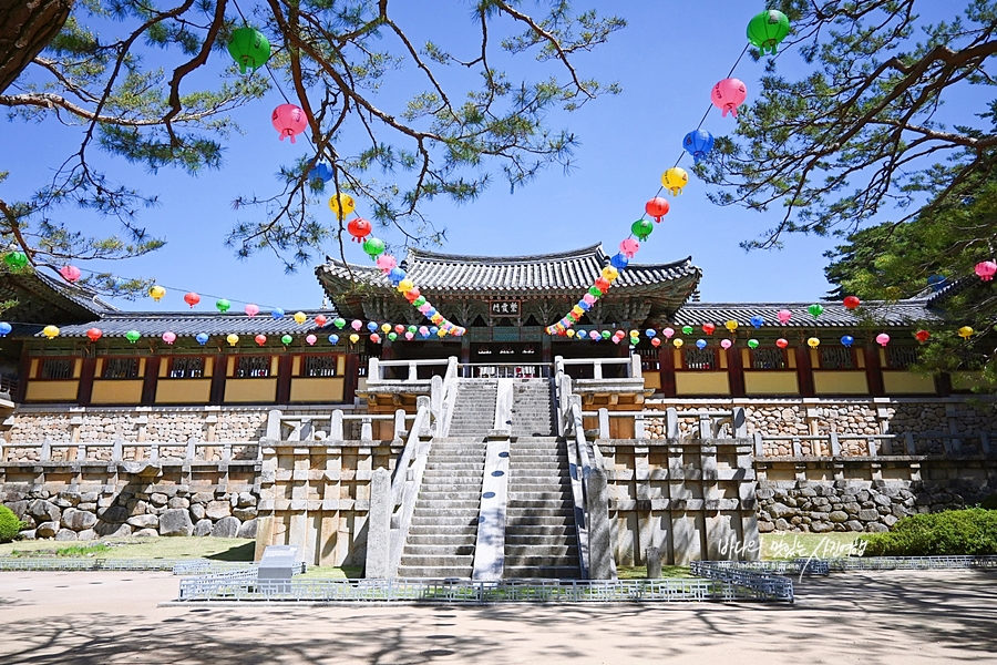 부처님오신날 가볼만한곳 유명한 경주절 불국사 골굴사 기림사 분황사 등