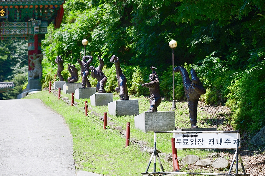 부처님오신날 가볼만한곳 유명한 경주절 불국사 골굴사 기림사 분황사 등