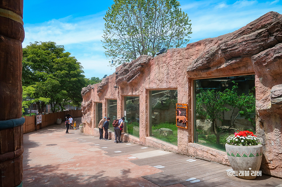 어린이대공원 볼거리 서울 어린이대공원 동물원