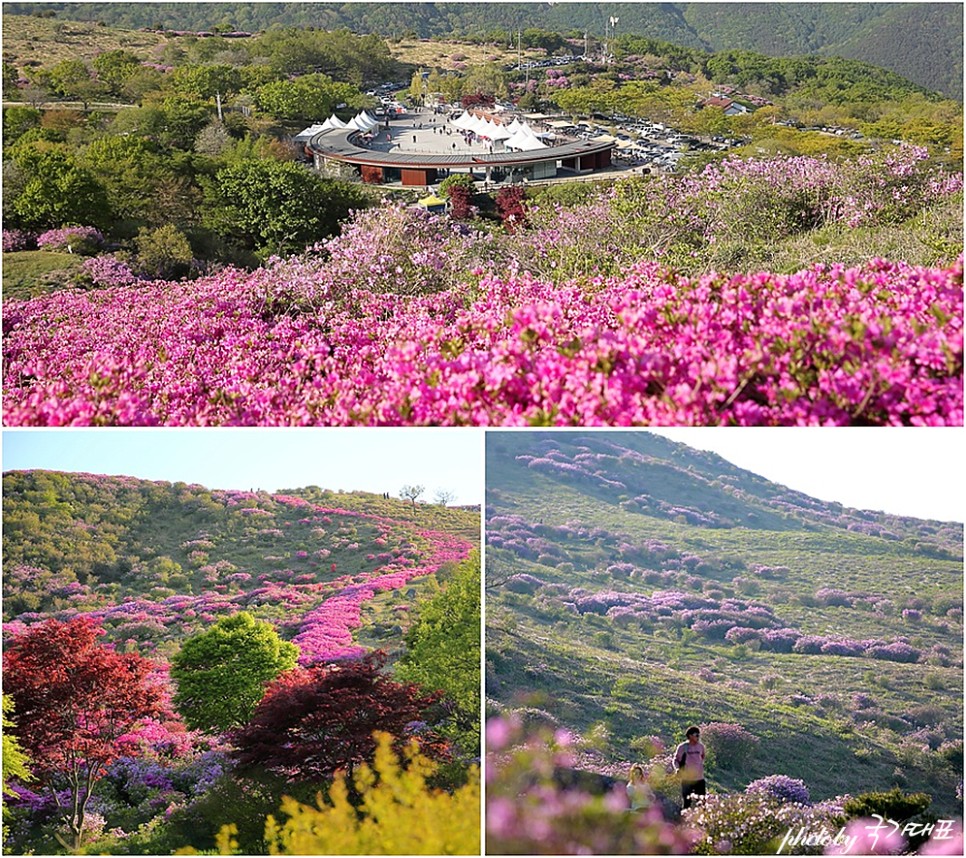 국내 여행지 추천 합천 황매산 철쭉 천불천탑 소원명소