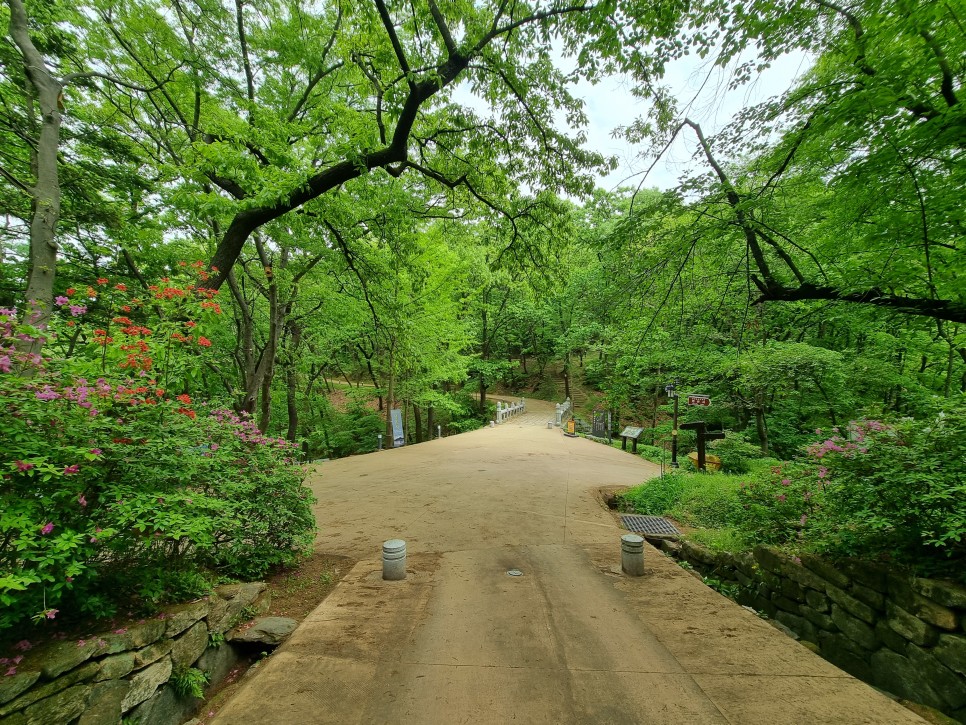 공주 가볼만한곳 공산성 걷기좋은길 구석구석