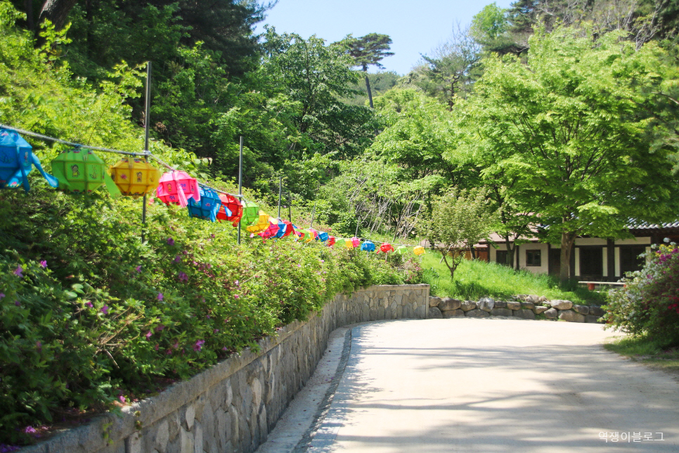 강원도 양양 가볼만한곳 낙산사 유명한 절, 낙산해수욕장 바다 구경