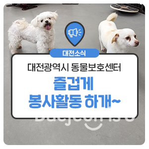 대전광역시 동물보호센터에서 즐겁게 봉사하개!!