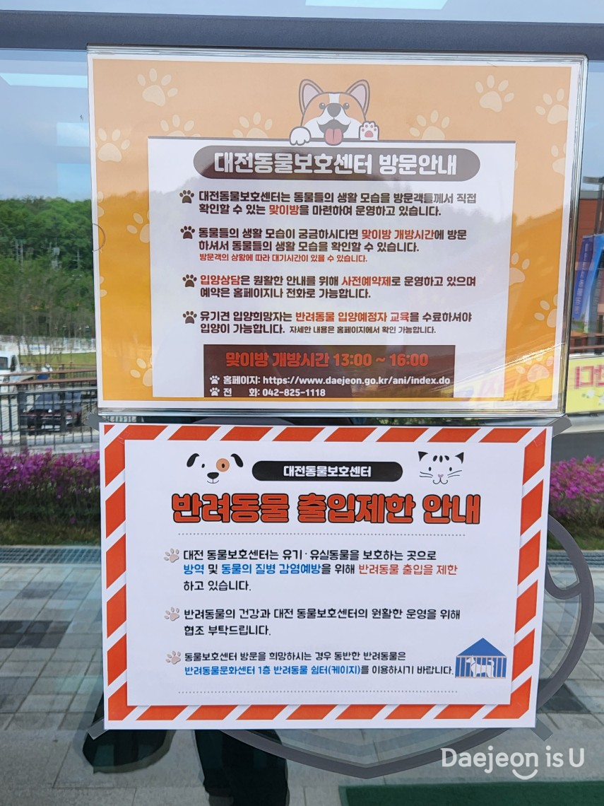 대전광역시 동물보호센터에서 즐겁게 봉사하개!!