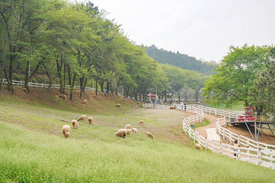 남해 독일마을 포함 1박2일 남해여행 드라이브 코스