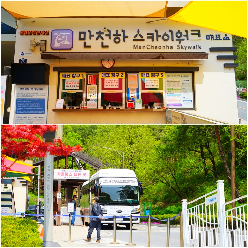 단양 여행 코스 패러글라이딩 후기 만천하스카이워크 등 5곳