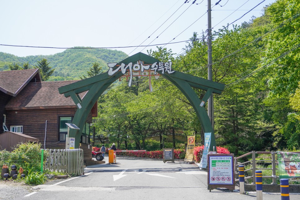 완주여행 완주대아수목원 & 봉강요 도자기체험 국내힐링여행지